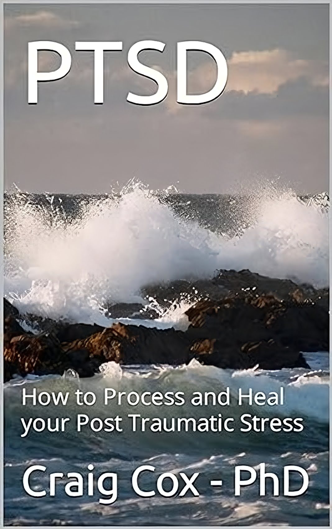 Post Traumatic Stress Disorder Book